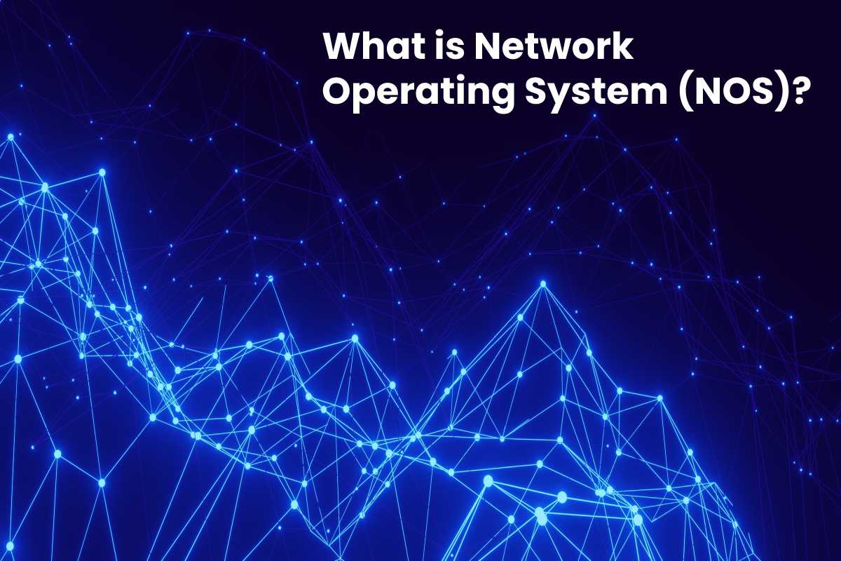 What Is Network Operating System NOS 2022