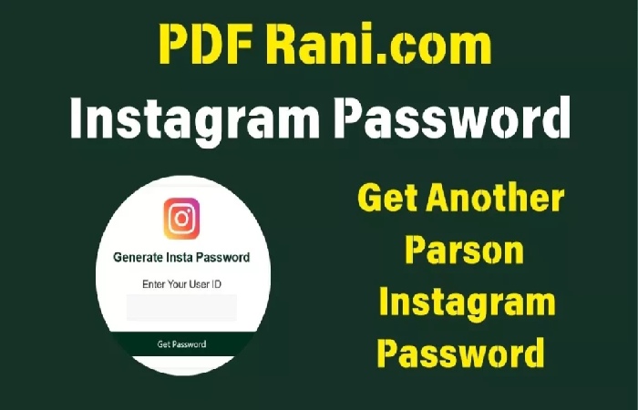 Instagram Password Reset